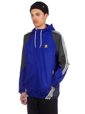 Adidas best sale skateboarding insley